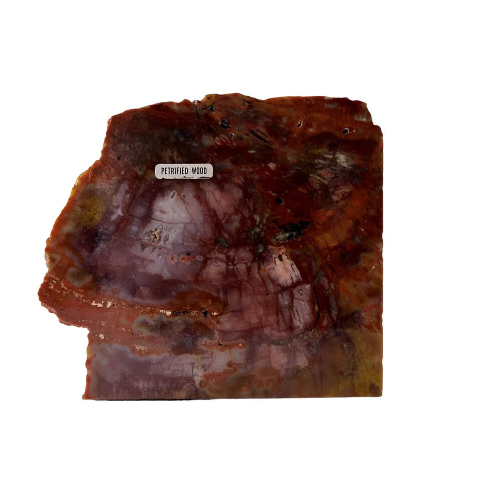Petrified Wood Vintage Antique Cut Polished Felt Bottom Reddish Color